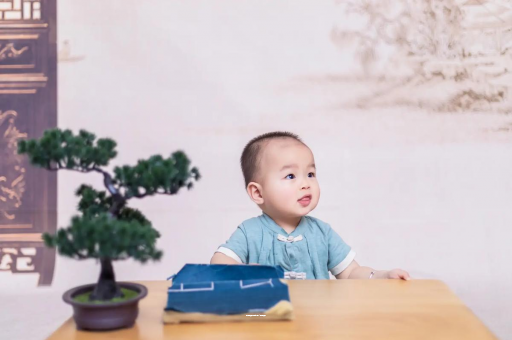 阳江八个月宝宝零食 阳江八个月宝宝零食